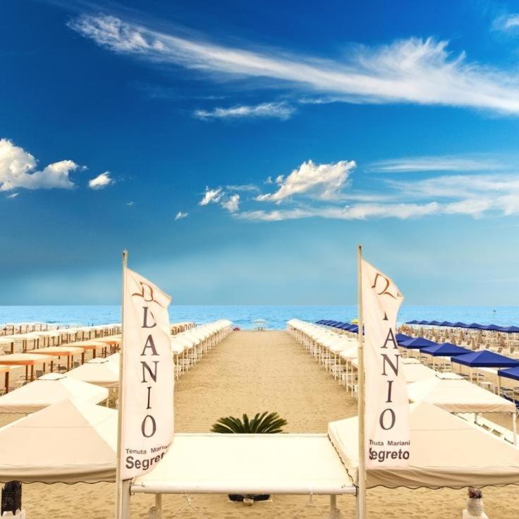 Danio Beach House 리도디캄파이오레 외부 사진